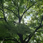 Domaine De Nazac Saint-Sulpice (Lot)