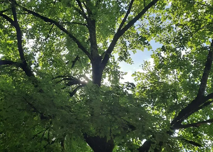 Domaine De Nazac Saint-Sulpice